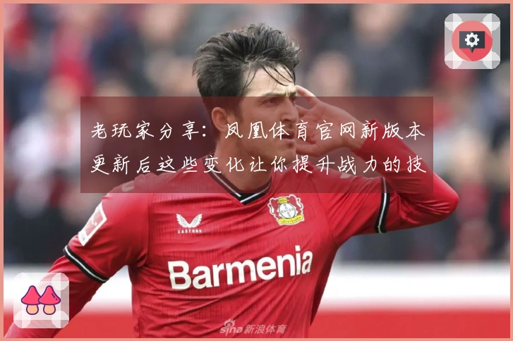 老玩家分享：凤凰体育官网新版本更新后这些变化让你提升战力的技巧不可错过！