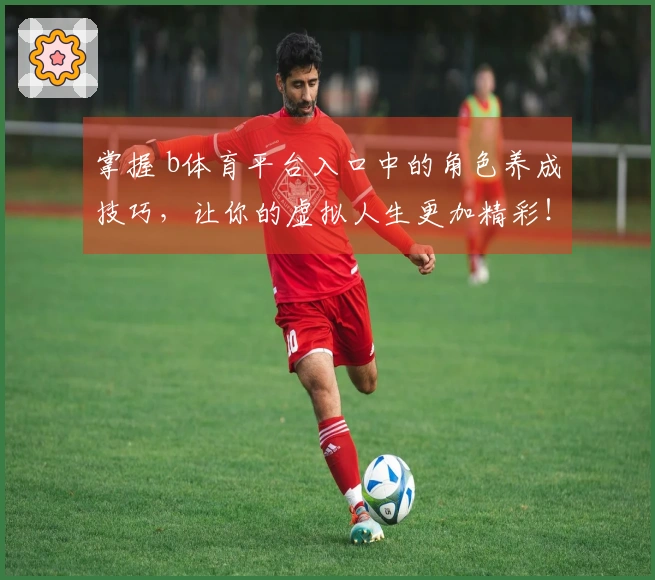 掌握 b体育平台入口中的角色养成技巧，让你的虚拟人生更加精彩！