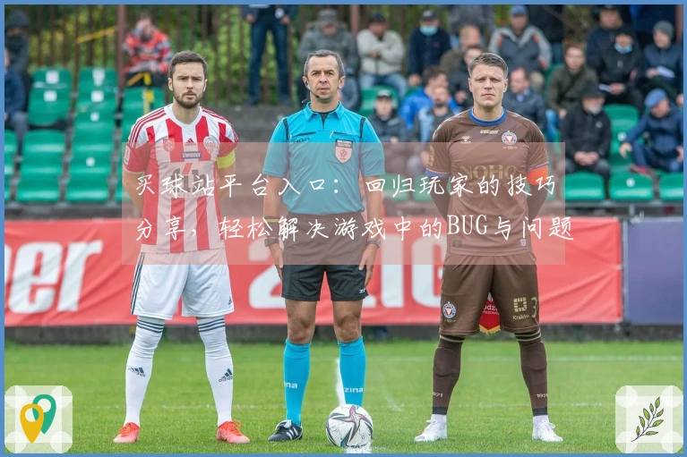 买球站平台入口：回归玩家的技巧分享，轻松解决游戏中的BUG与问题