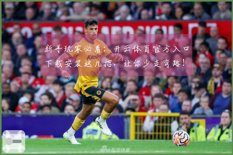 新手玩家必看：开云体育官方入口下载安装这几招，让你少走弯路！