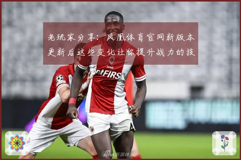 老玩家分享：凤凰体育官网新版本更新后这些变化让你提升战力的技巧不可错过！