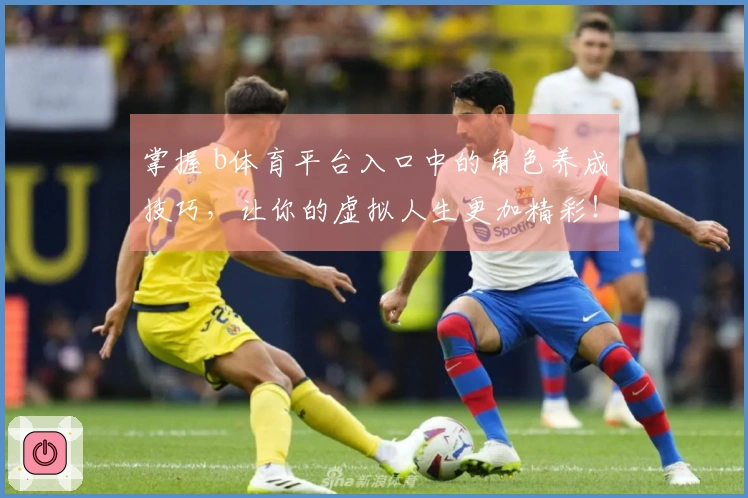 掌握 b体育平台入口中的角色养成技巧，让你的虚拟人生更加精彩！